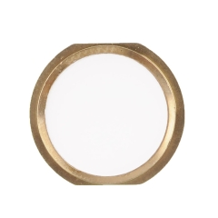 Replacement for iPad Mini 3 Home Button Gold Original